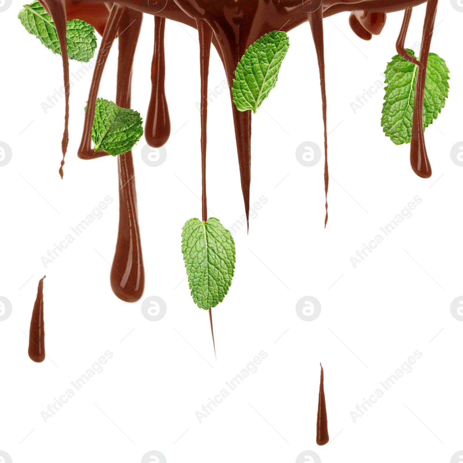 Chocolate flows and mint leaves on white background Image of Chocolate flows and mint leaves on white background