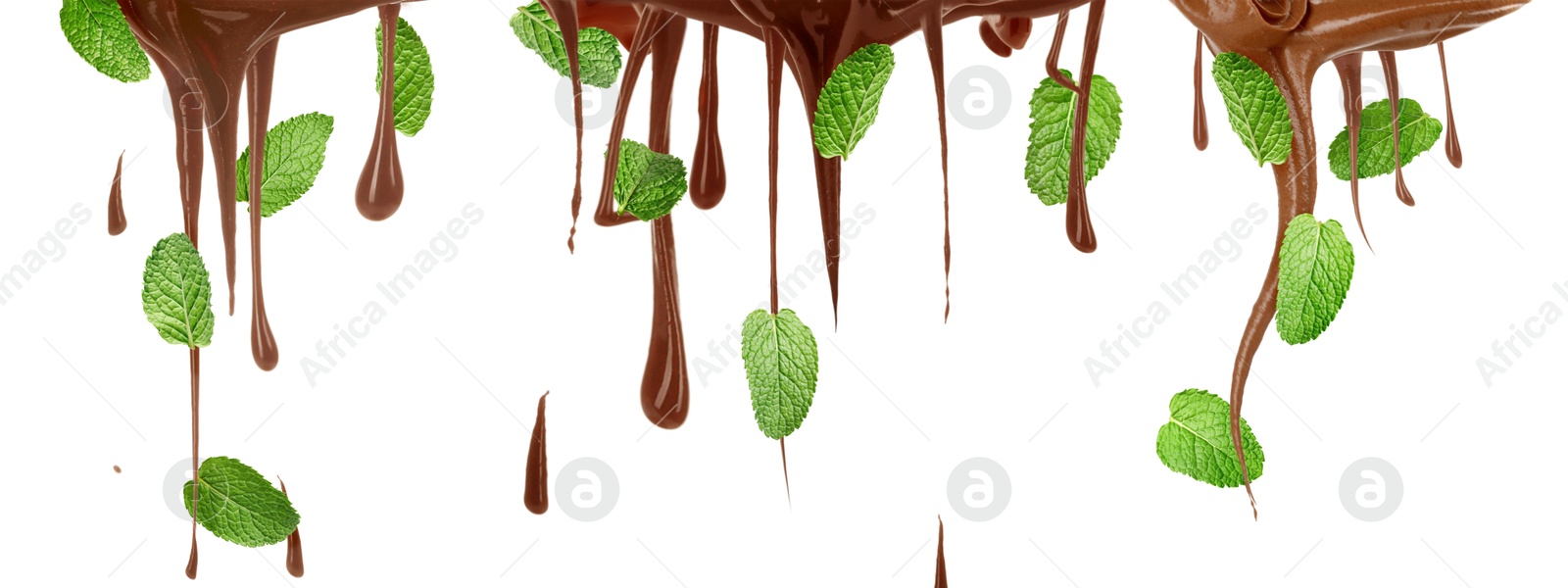Chocolate flows and mint leaves on white background, set Image of Chocolate flows and mint leaves on white background, set