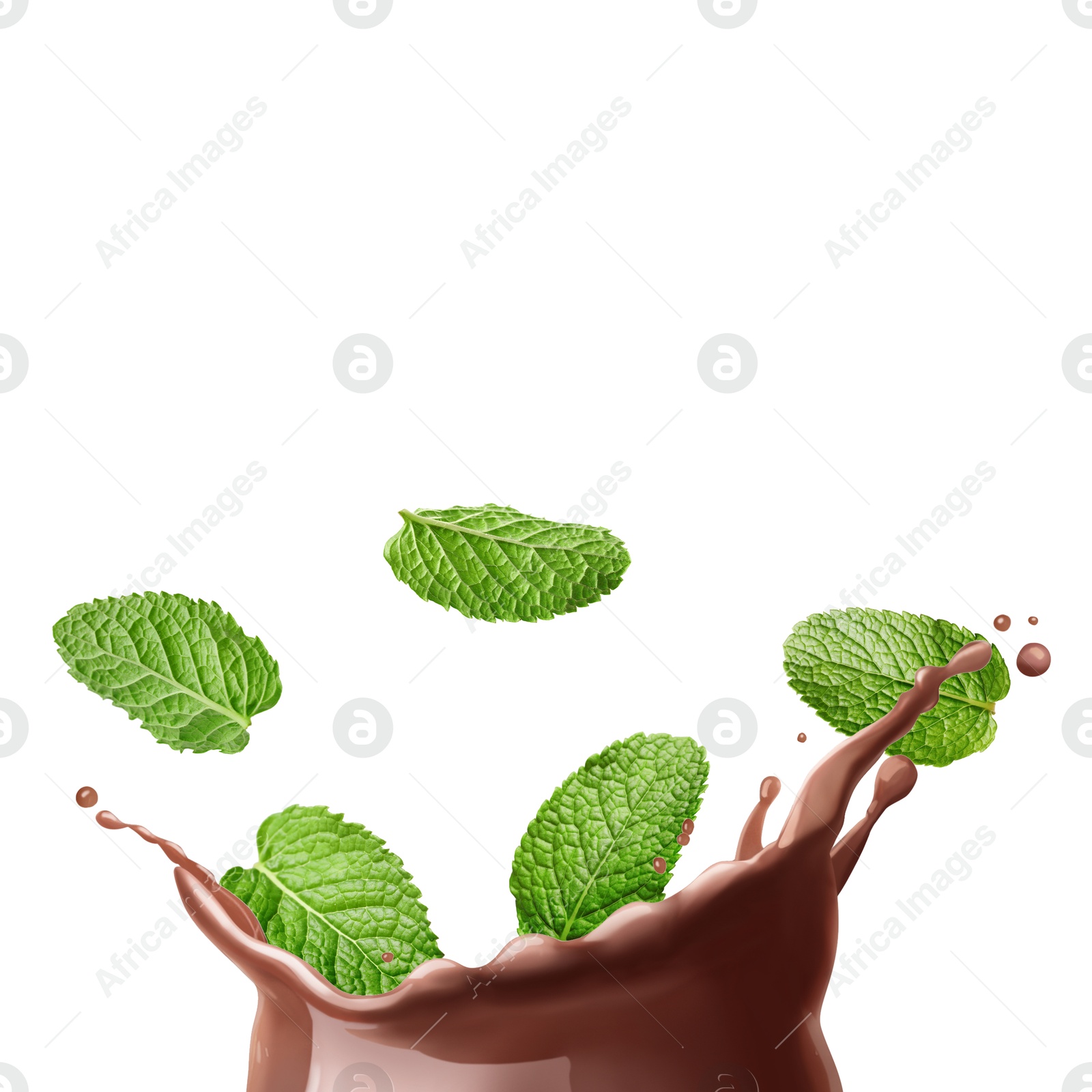 Chocolate splash and mint leaves on white background Image of Chocolate splash and mint leaves on white background