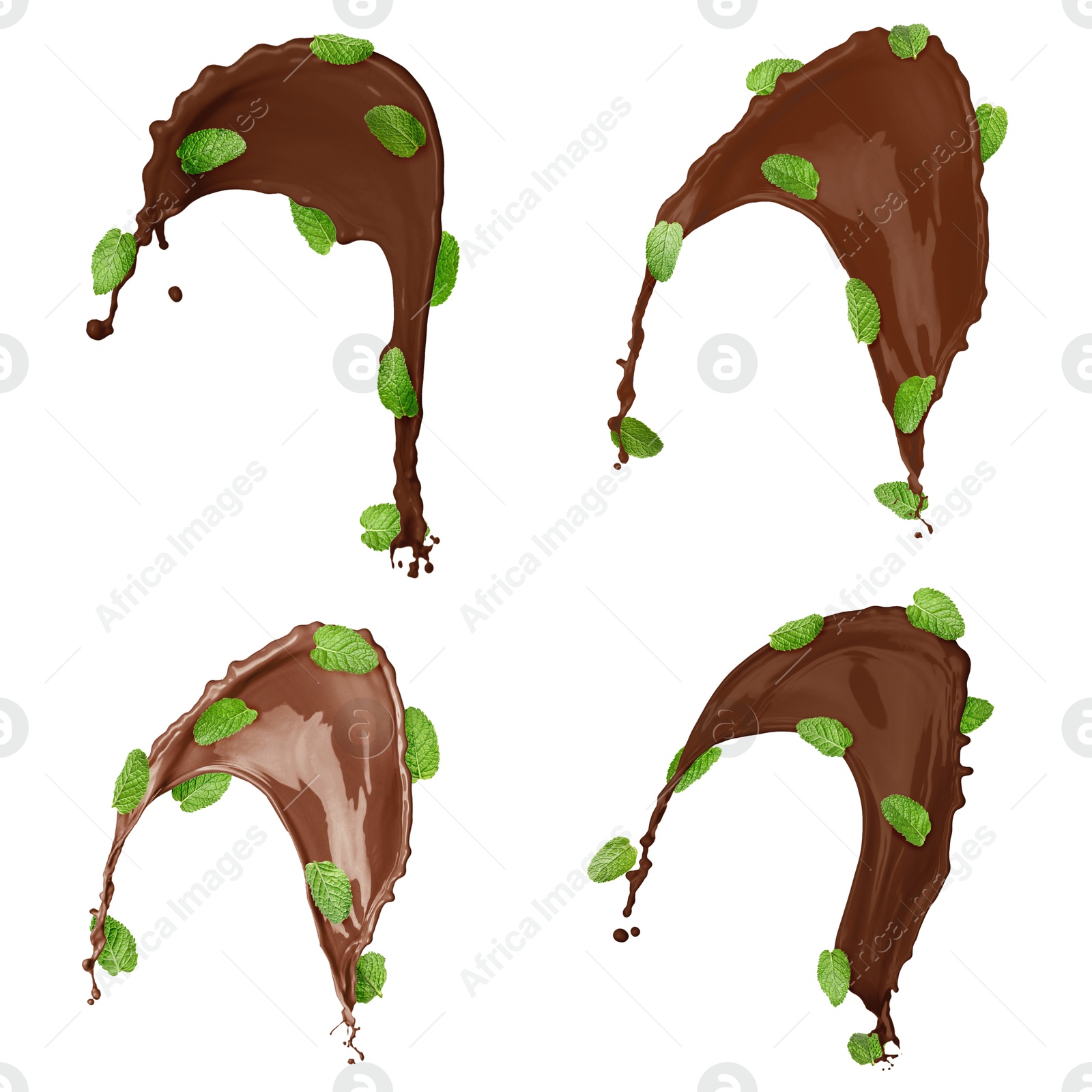 Chocolate splashes and mint leaves in air on white background, set Image of Chocolate splashes and mint leaves in air on white background, set