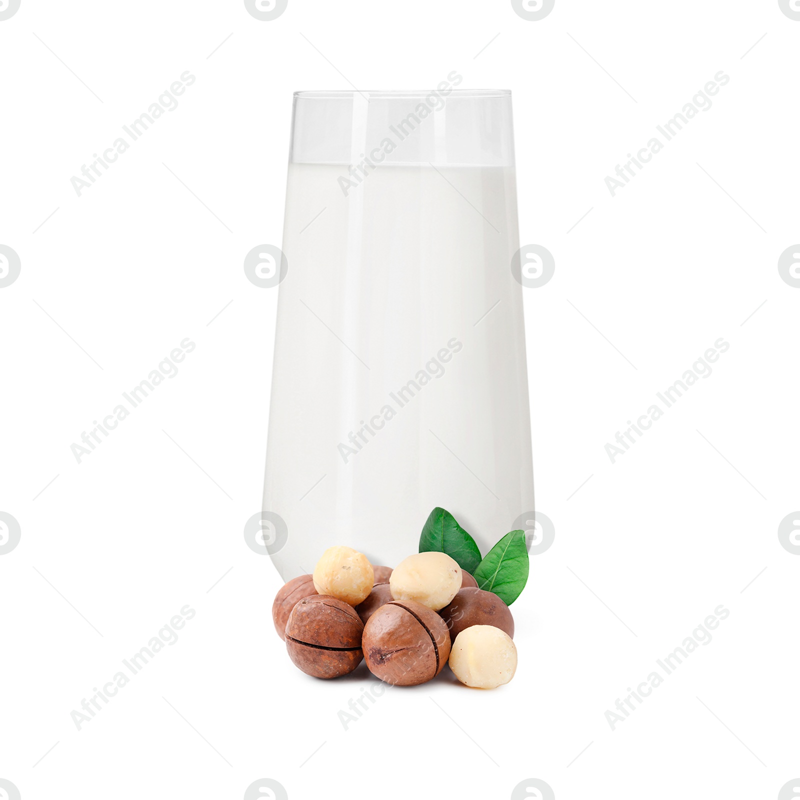 Nut milk in glass and macadamias isolated on white Image of Nut milk in glass and macadamias isolated on white