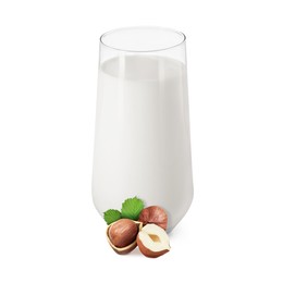 Image of Nut milk in glass and hazelnuts isolated on white