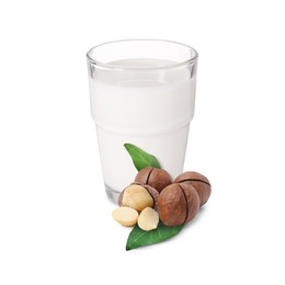 Image of Nut milk in glass and macadamias isolated on white