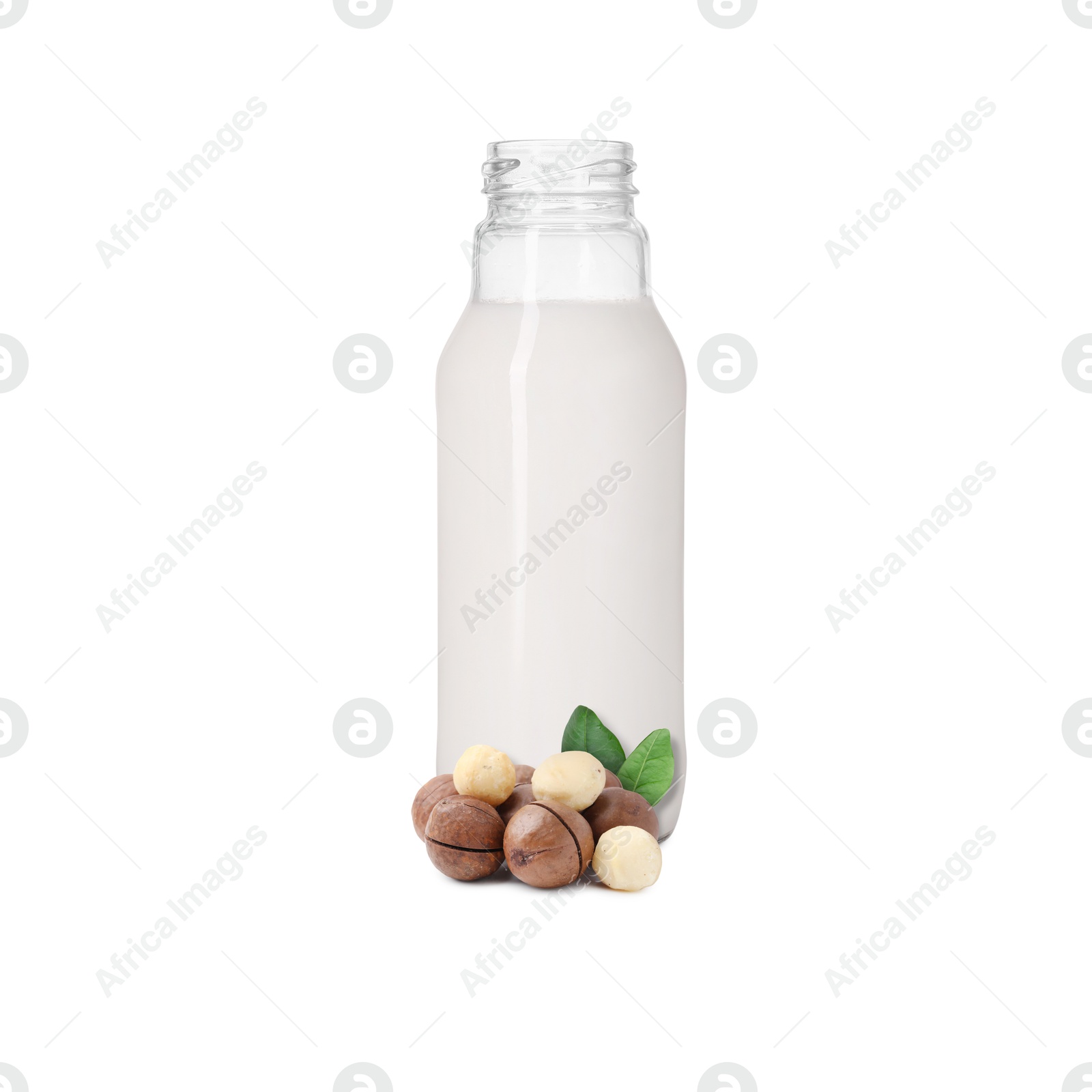 Nut milk in glass bottle and macadamias isolated on white Image of Nut milk in glass bottle and macadamias isolated on white