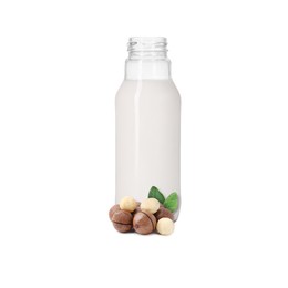 Image of Nut milk in glass bottle and macadamias isolated on white