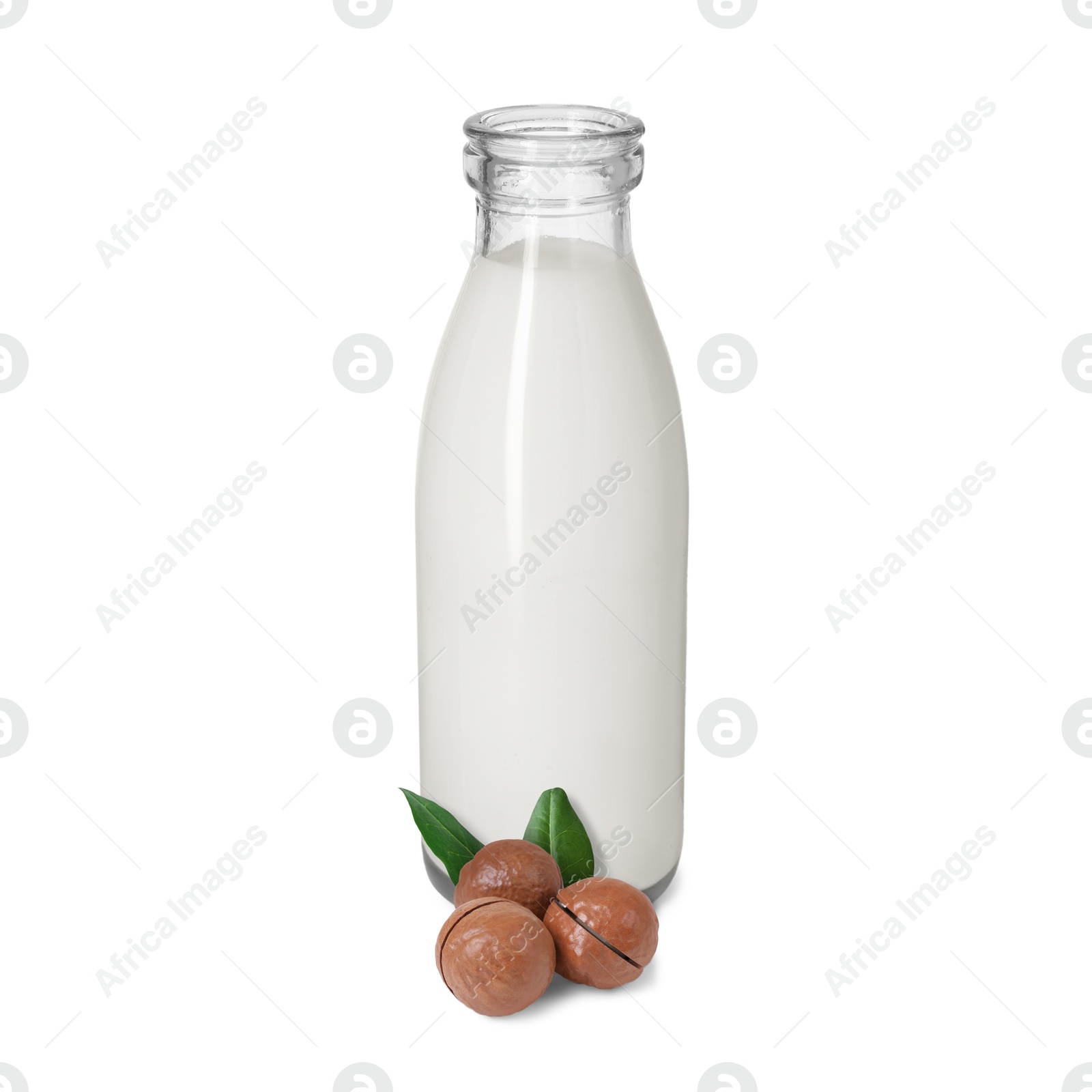 Nut milk in glass bottle and macadamias isolated on white Image of Nut milk in glass bottle and macadamias isolated on white
