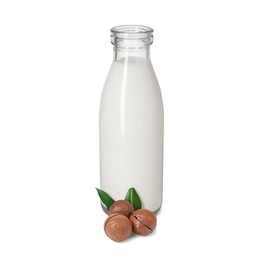 Image of Nut milk in glass bottle and macadamias isolated on white