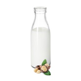 Image of Nut milk in glass bottle and macadamias isolated on white