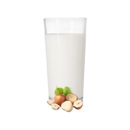 Image of Nut milk in glass and hazelnuts isolated on white