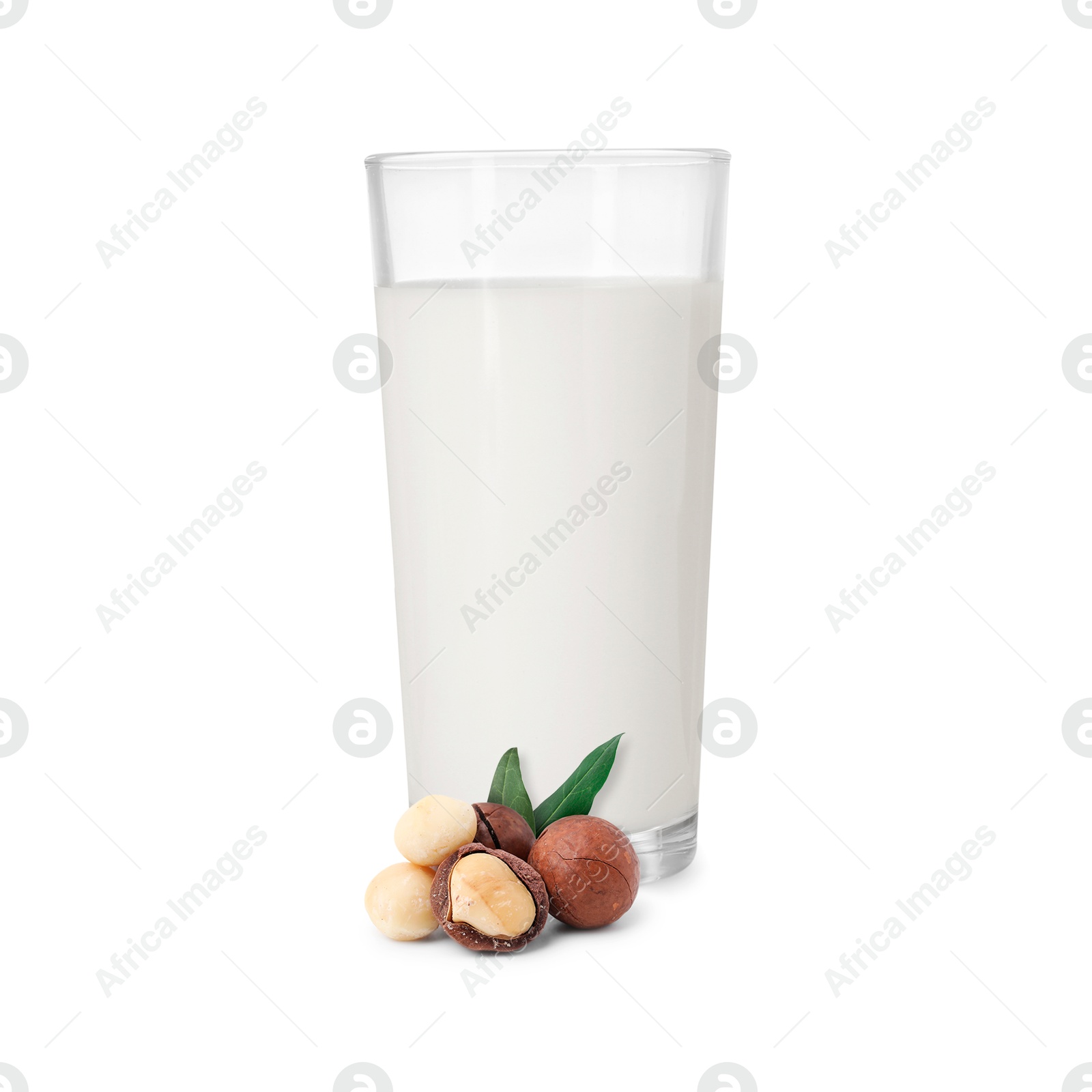 Nut milk in glass and macadamias isolated on white Image of Nut milk in glass and macadamias isolated on white
