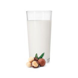 Image of Nut milk in glass and macadamias isolated on white