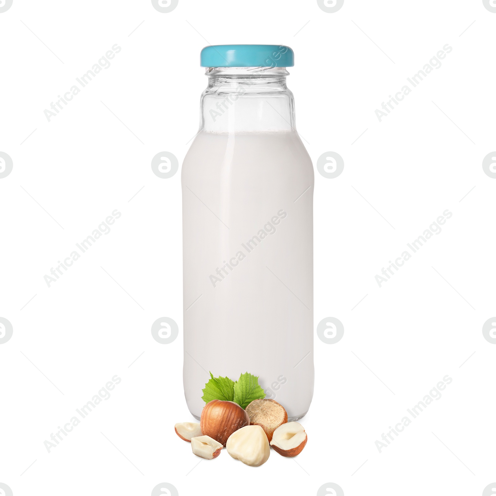 Nut milk in glass bottle and hazelnuts isolated on white Image of Nut milk in glass bottle and hazelnuts isolated on white