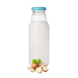 Image of Nut milk in glass bottle and hazelnuts isolated on white