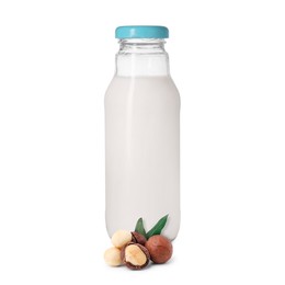 Image of Nut milk in glass bottle and macadamias isolated on white