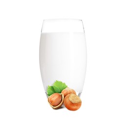 Image of Nut milk in glass and hazelnuts isolated on white