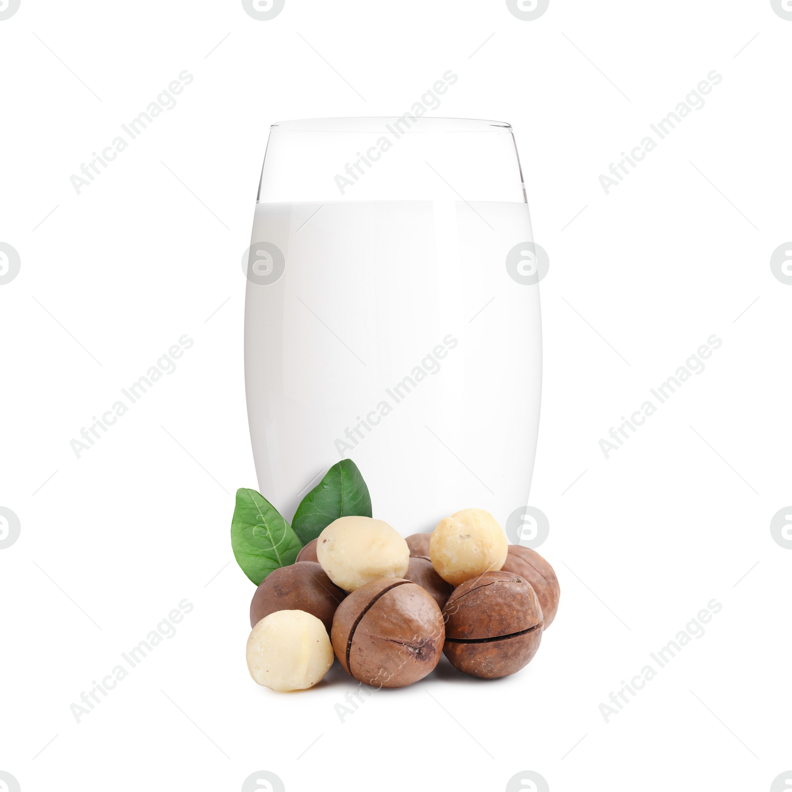 Nut milk in glass and macadamias isolated on white Image of Nut milk in glass and macadamias isolated on white