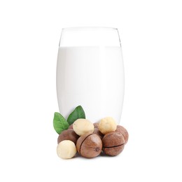 Image of Nut milk in glass and macadamias isolated on white