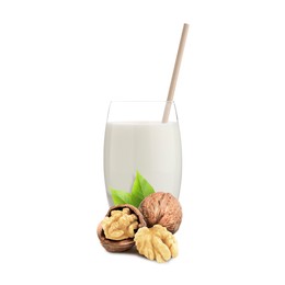 Image of Nut milk in glass and walnuts isolated on white