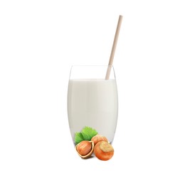 Image of Nut milk in glass and hazelnuts isolated on white