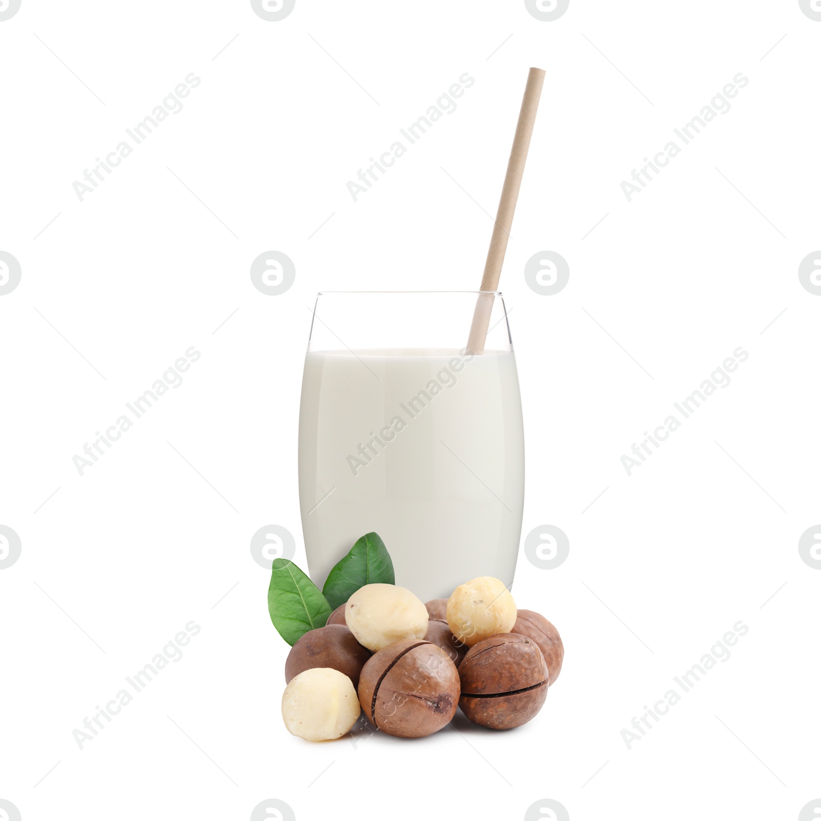 Nut milk in glass and macadamias isolated on white Image of Nut milk in glass and macadamias isolated on white