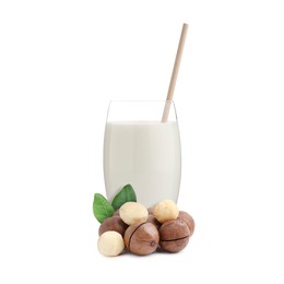 Image of Nut milk in glass and macadamias isolated on white
