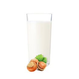 Image of Nut milk in glass and hazelnuts isolated on white