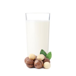 Image of Nut milk in glass and macadamias isolated on white