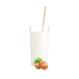 Image of Nut milk in glass and hazelnuts isolated on white