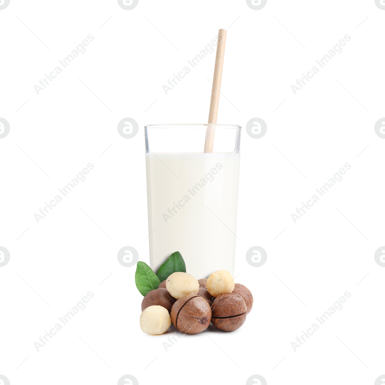 Nut milk in glass and macadamias isolated on white Image of Nut milk in glass and macadamias isolated on white