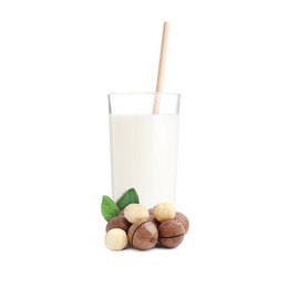 Image of Nut milk in glass and macadamias isolated on white