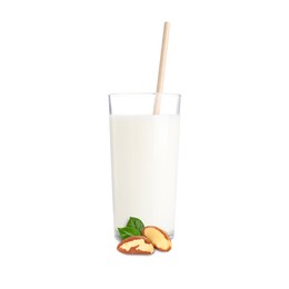 Image of Nut milk in glass and Brazil nuts isolated on white