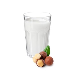 Image of Nut milk in glass and macadamias isolated on white