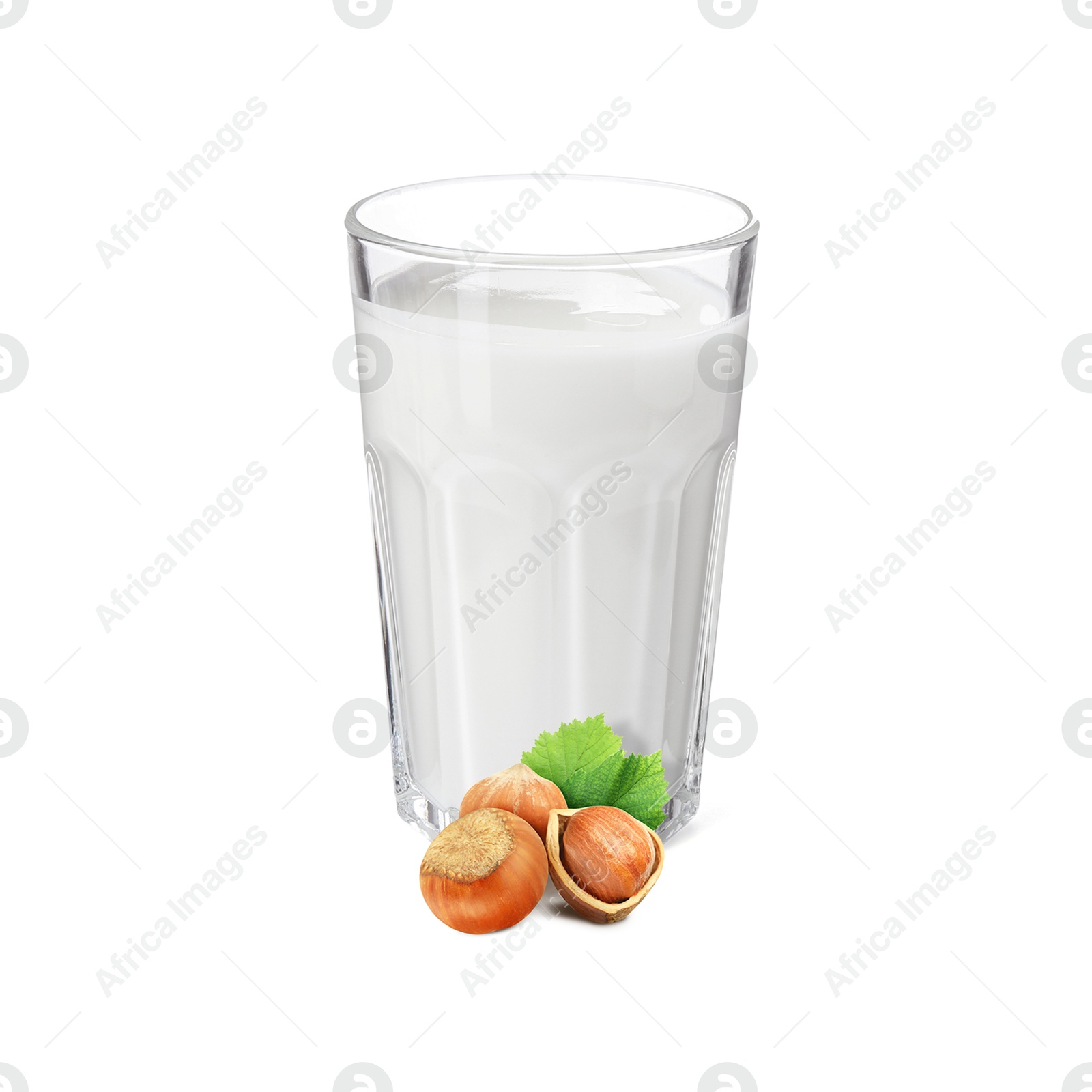 Nut milk in glass and hazelnuts isolated on white Image of Nut milk in glass and hazelnuts isolated on white