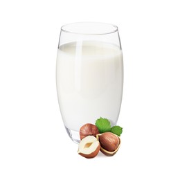 Image of Nut milk in glass and hazelnuts isolated on white