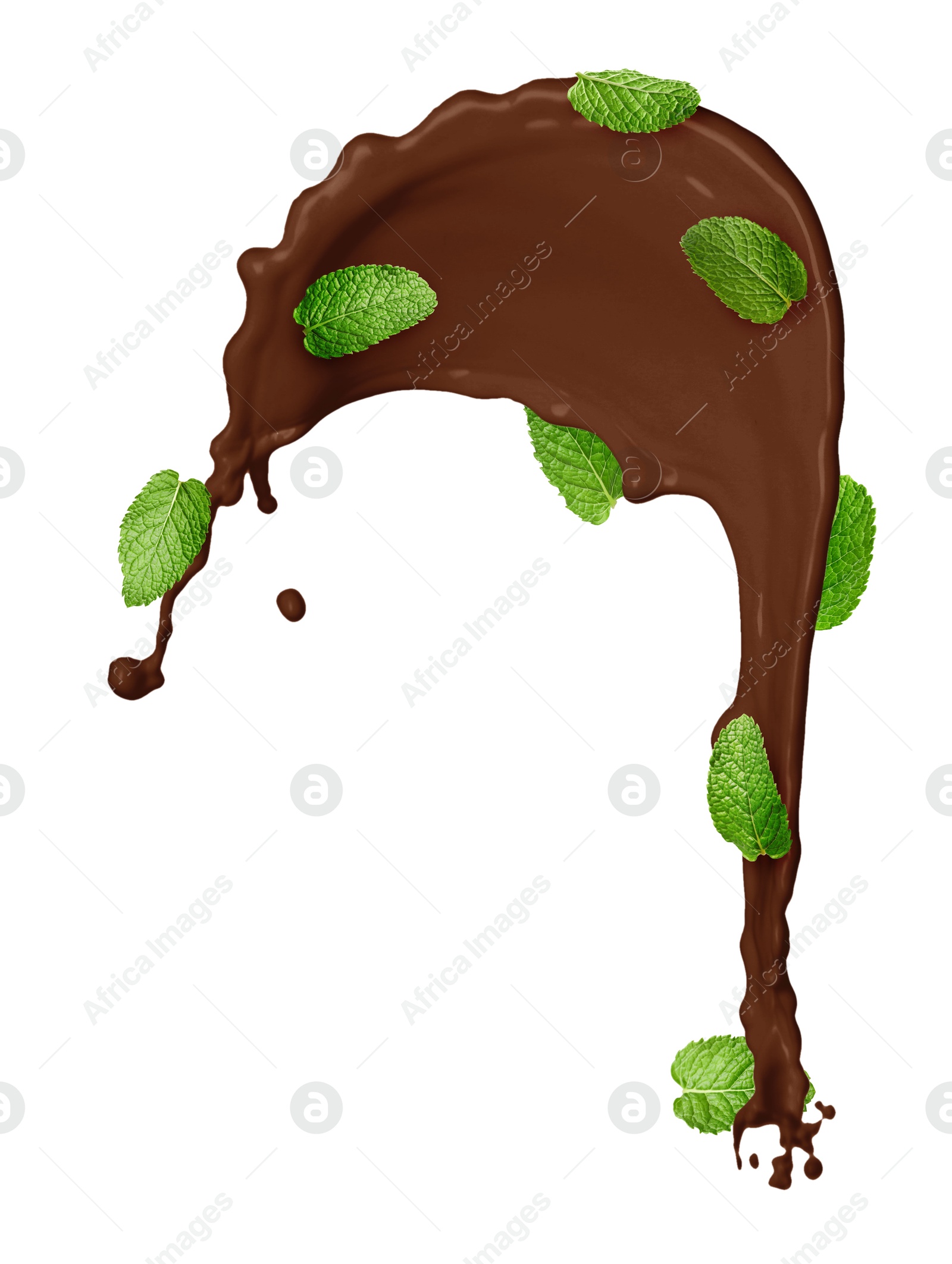 Chocolate splash and mint leaves in air on white background Image of Chocolate splash and mint leaves in air on white background