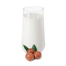 Image of Nut milk in glass and macadamias isolated on white