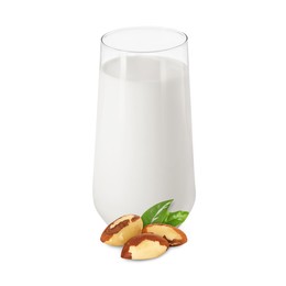 Image of Nut milk in glass and Brazil nuts isolated on white