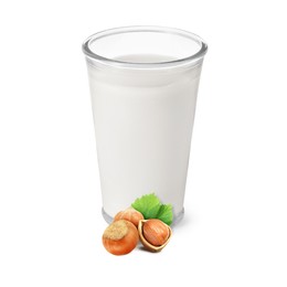 Image of Nut milk in glass and hazelnuts isolated on white