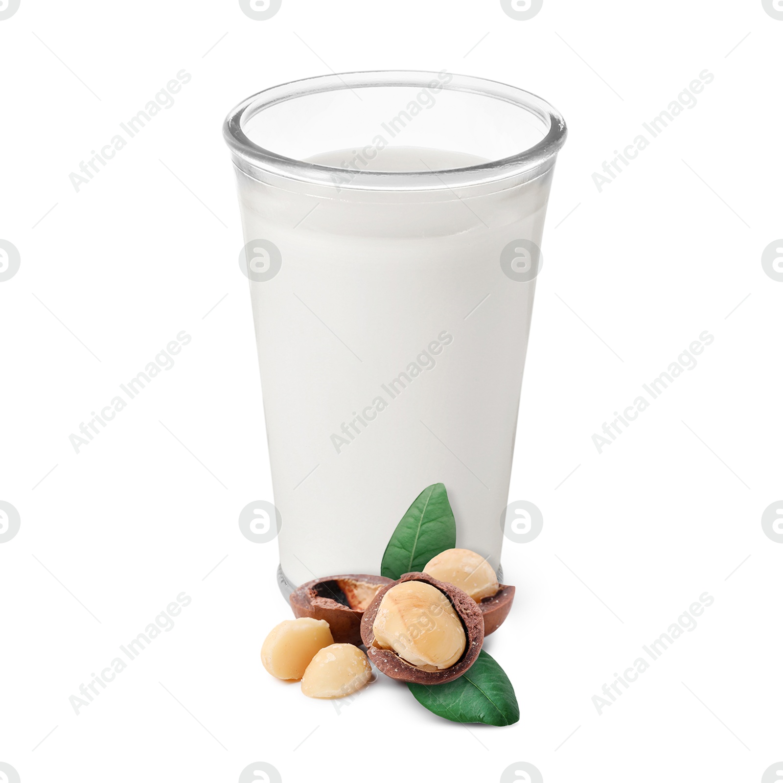 Nut milk in glass and macadamias isolated on white Image of Nut milk in glass and macadamias isolated on white