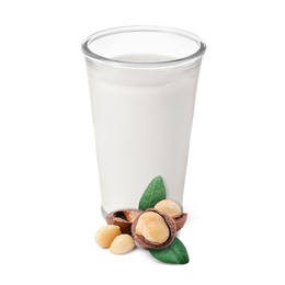 Image of Nut milk in glass and macadamias isolated on white