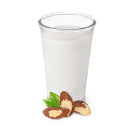 Image of Nut milk in glass and Brazil nuts isolated on white