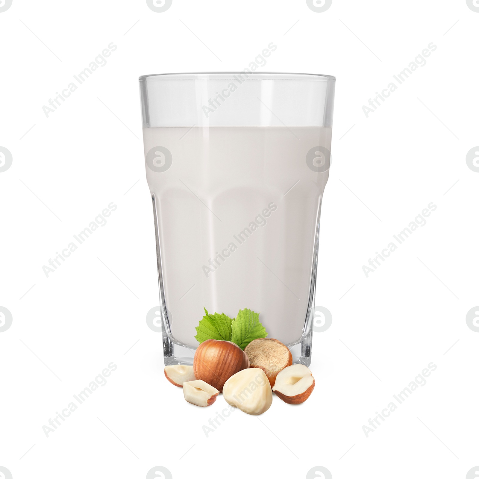 Nut milk in glass and hazelnuts isolated on white Image of Nut milk in glass and hazelnuts isolated on white