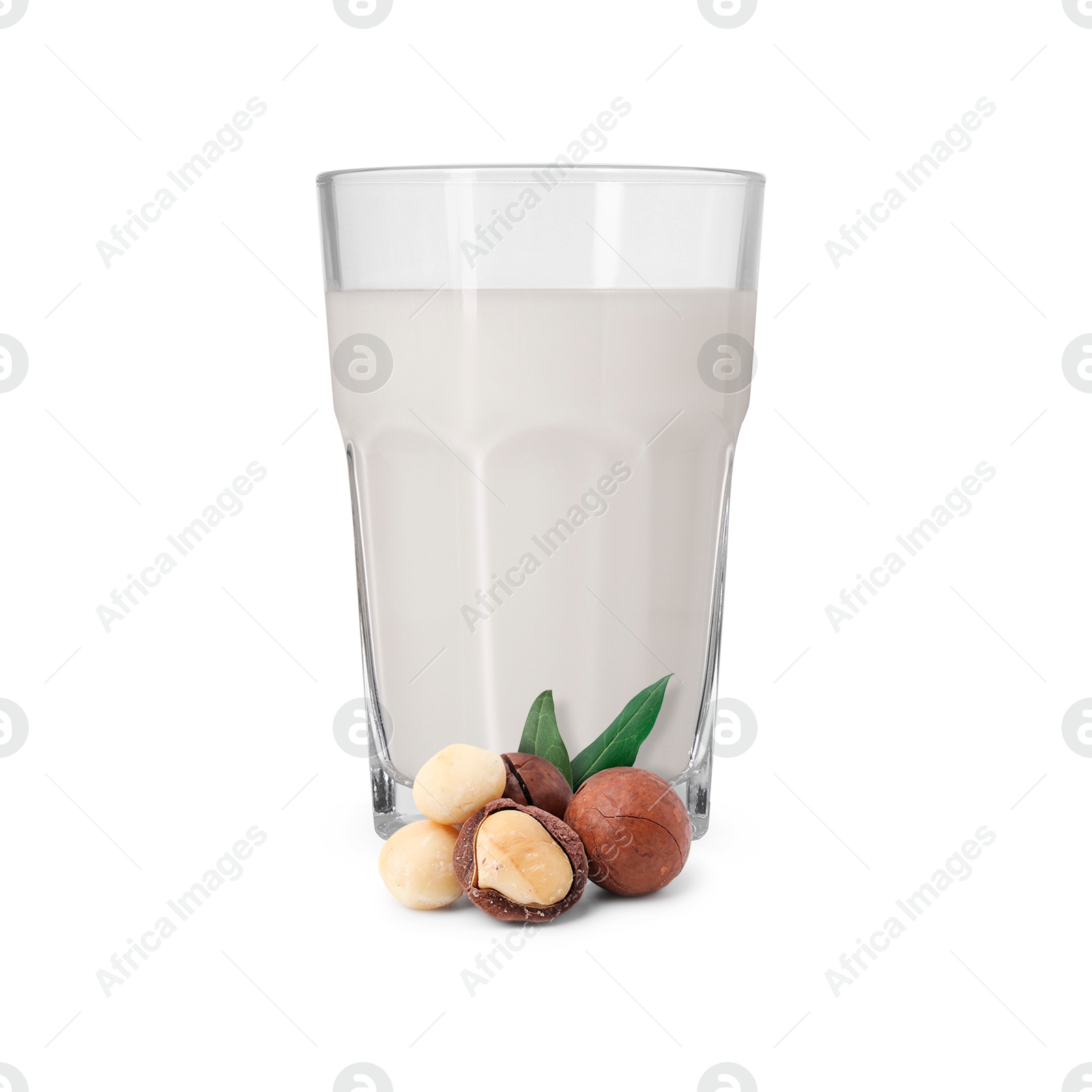 Nut milk in glass and macadamias isolated on white Image of Nut milk in glass and macadamias isolated on white