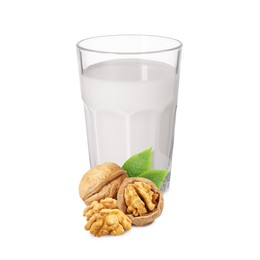 Image of Nut milk in glass and walnuts isolated on white