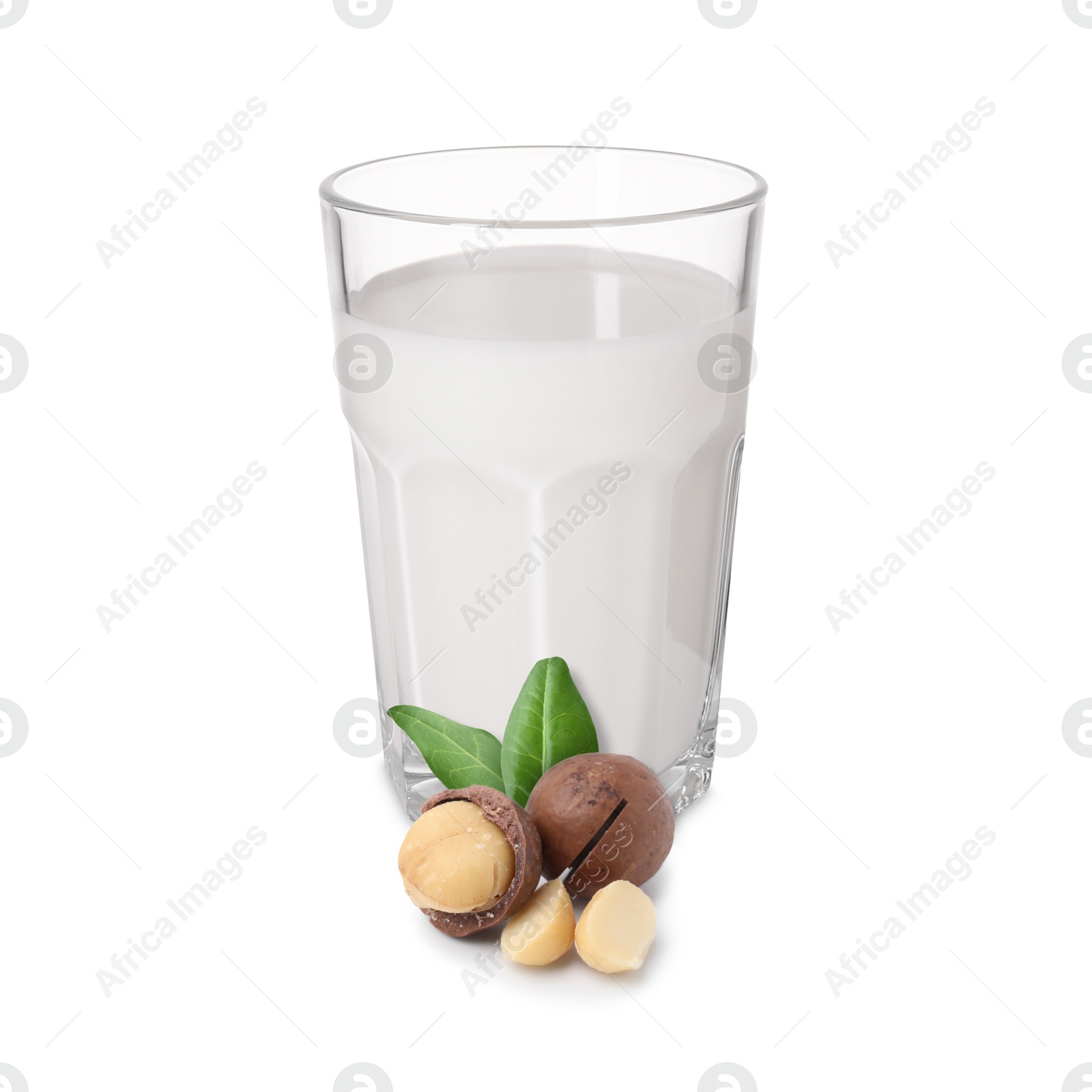 Nut milk in glass and macadamias isolated on white Image of Nut milk in glass and macadamias isolated on white