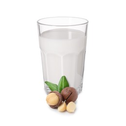 Image of Nut milk in glass and macadamias isolated on white