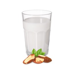 Image of Nut milk in glass and Brazil nuts isolated on white