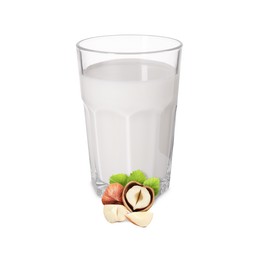 Image of Nut milk in glass and hazelnuts isolated on white
