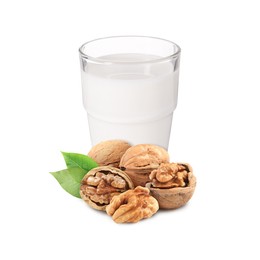 Image of Nut milk in glass and walnuts isolated on white