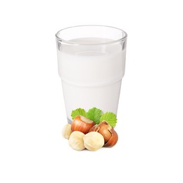 Image of Nut milk in glass and hazelnuts isolated on white